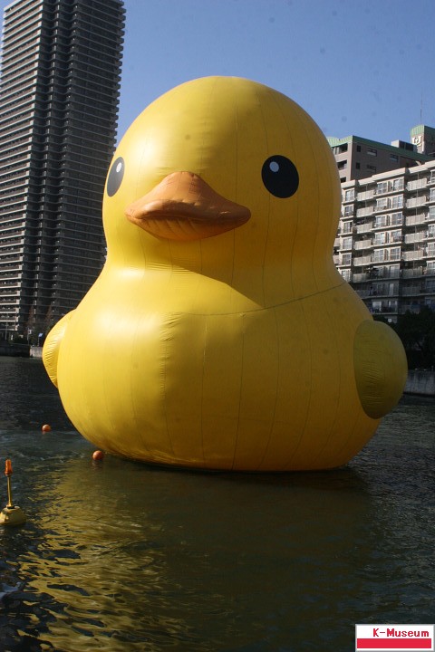 Rubber Duck Project 2010